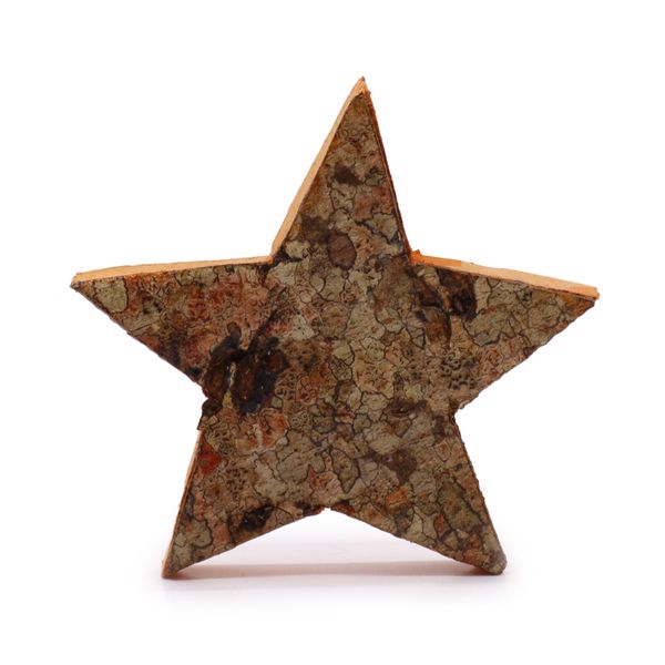 Rustic Bark Letter   - "Star Shape"  - 7cm
