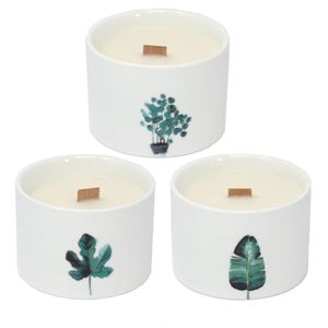 3xBotanical Wooden Wick Soy Candle