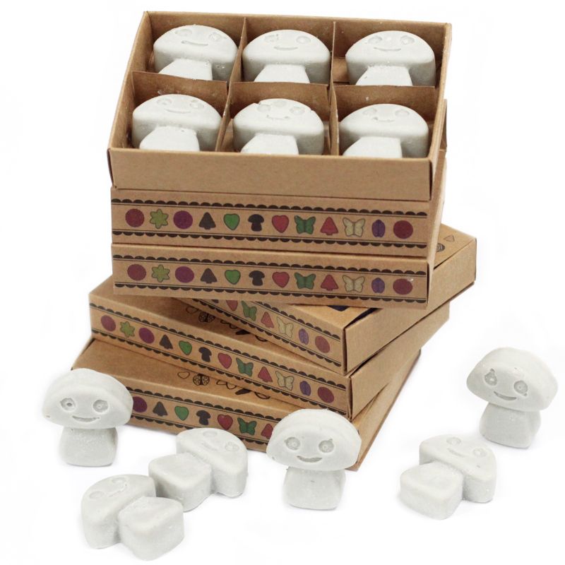 Boîte de 6 Fondants en Cire Soja - Patchouli Foncé
