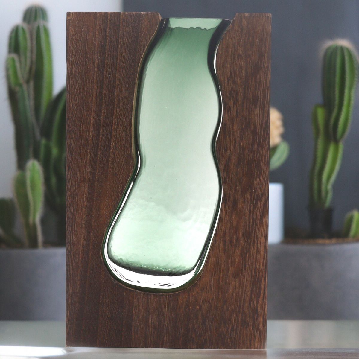 Vaso de vidro grande / Terrário em madeira de tung escuro - 18x5x32 cm