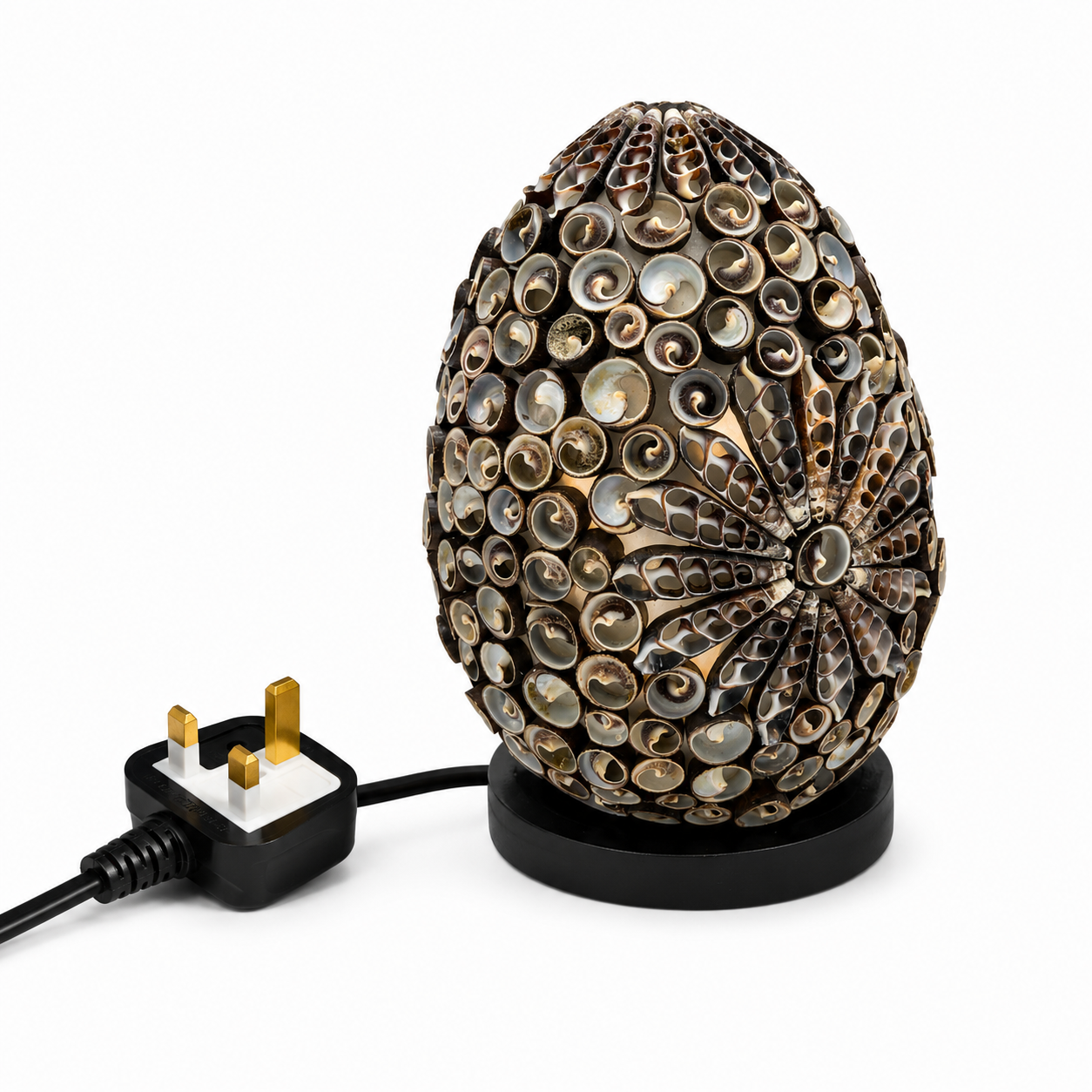 Boho Sea Shell Lamp - Chocolate Twist Oval - 15cm (UK)