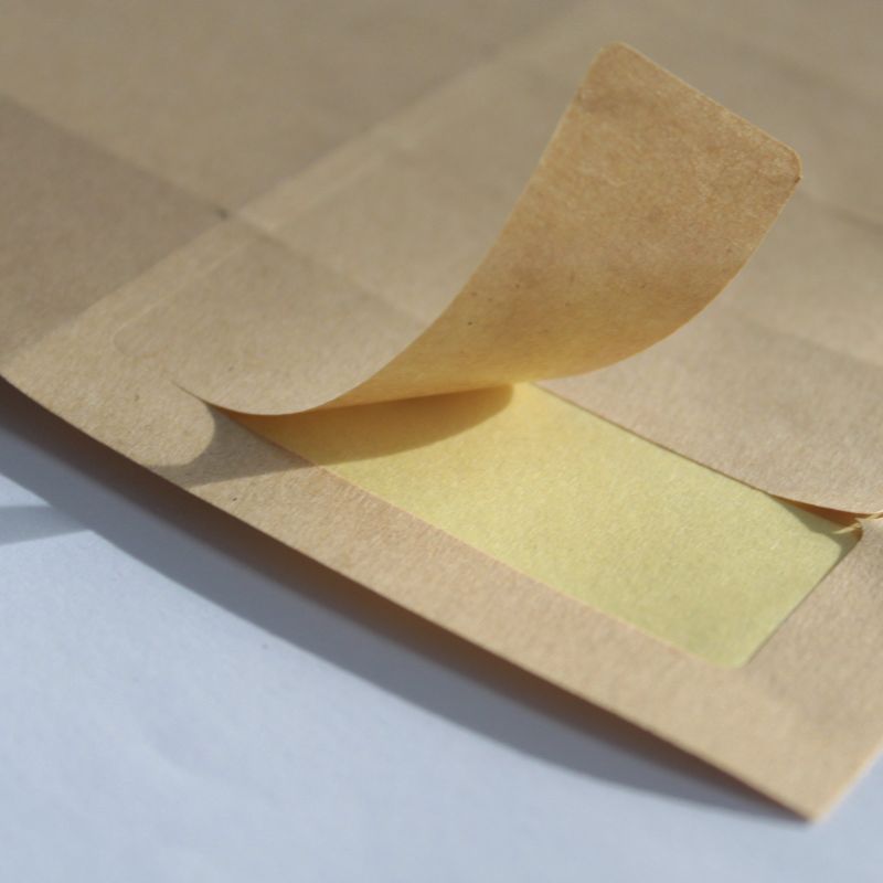 42 Etichette A4 Carta Craft 60x20mm