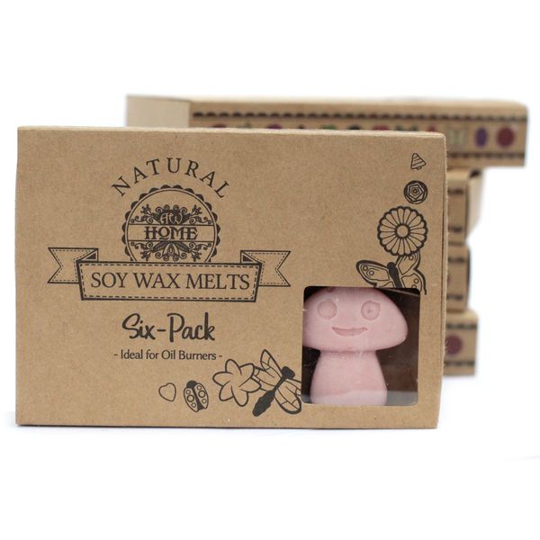 Gift Set of 6 Wax Melts  - Coffee Trader