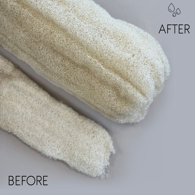 Loofah Entier de Luxe Égyptien - Comprimé - 35-50cm
