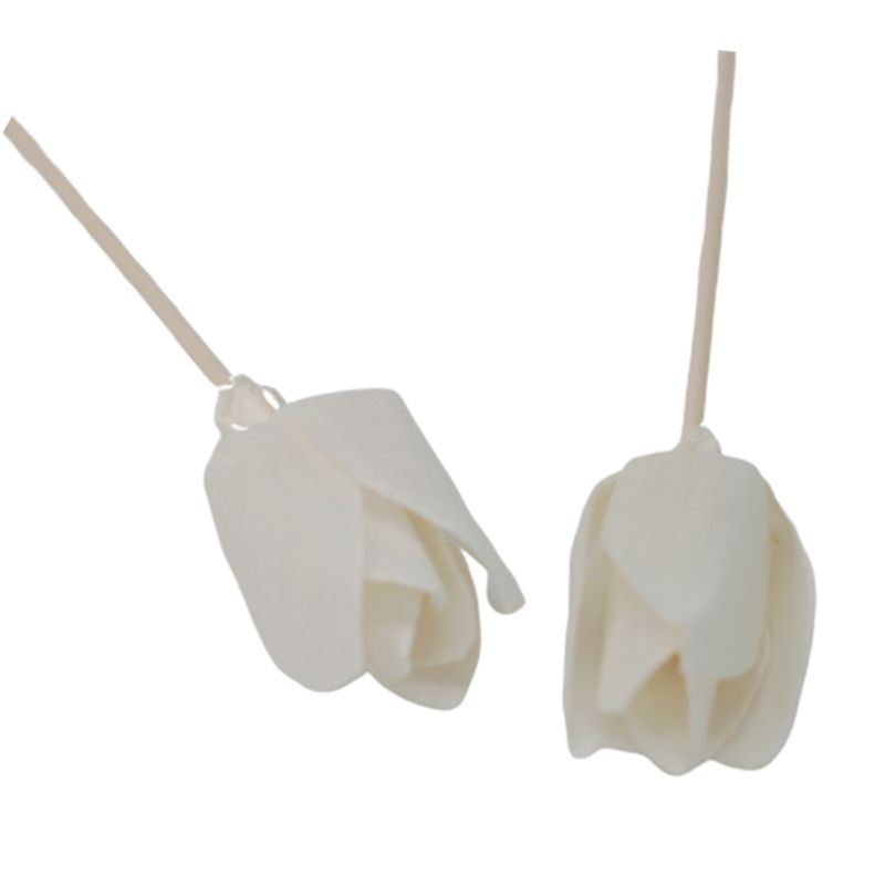 Diffuseurs Naturels Fleurs - Tulipe Sur Bâtonnets