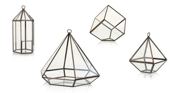Glass Terrariums