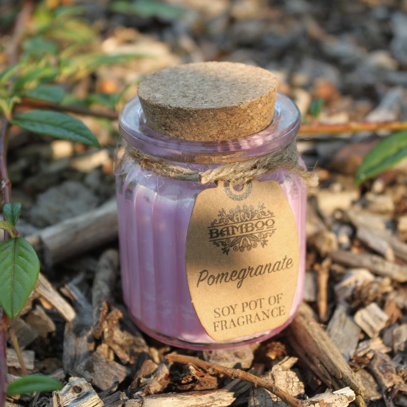 Soy Pot of Fragrance Candle Starter