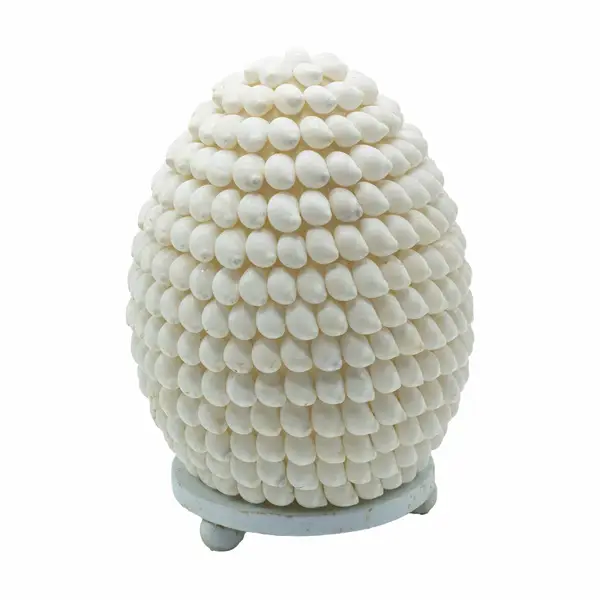 Lámpara Boho de Conchas Marinas - Concha Buting Ovalada
