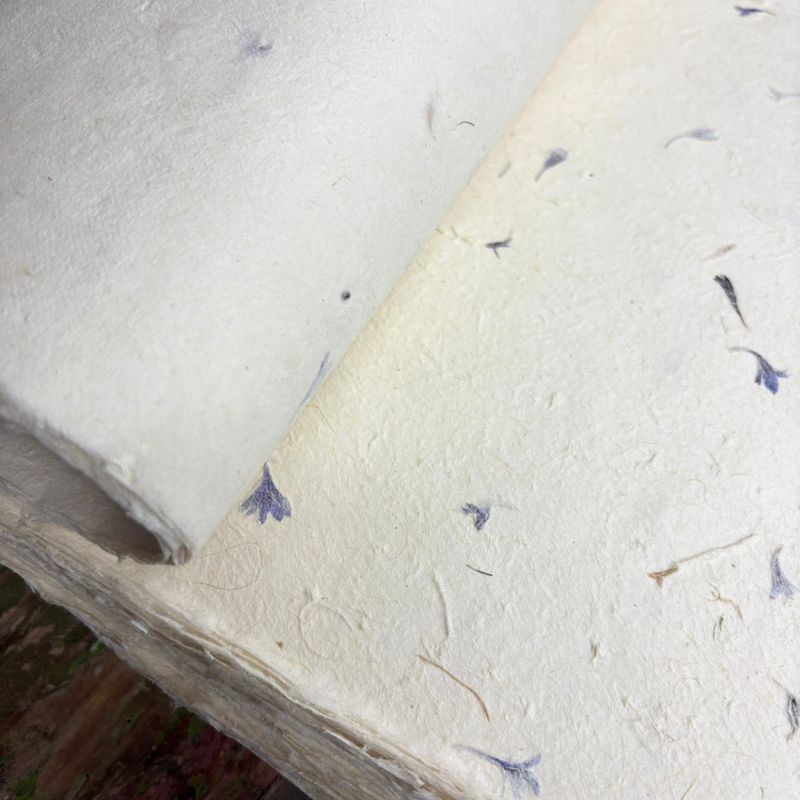 Lokta Craft / Wrapping Paper (51x76cm) - Cornflower