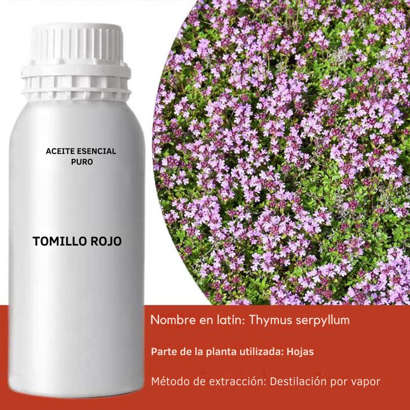 Huile Essentielle de Thym Rouge 0,5kg
