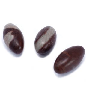 Piedras de Shiva Lingam