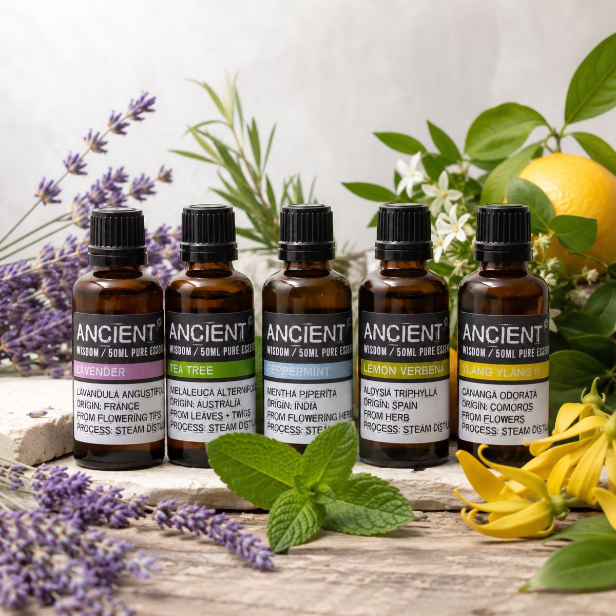 Professionelle biologische ätherische Öle – 50 ml