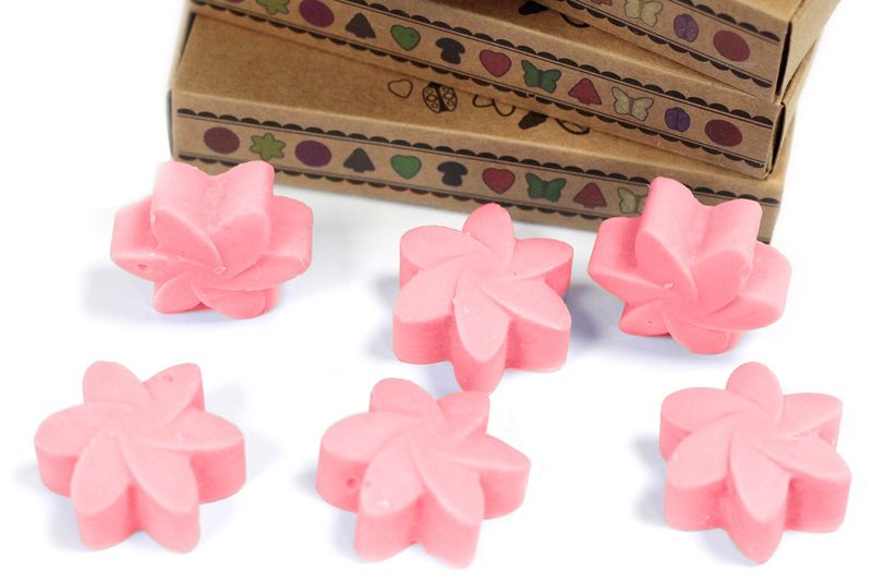 Boîte de 6 Fondants en Cire Soja - Rose Classique