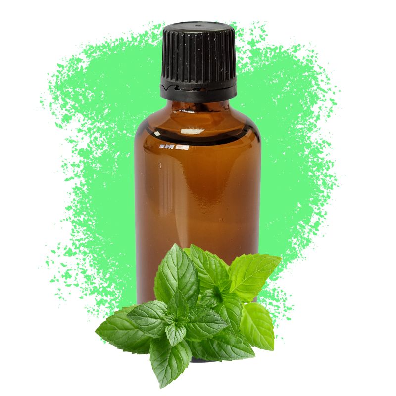 Menthe poivrée 50ml - Sans étiquette