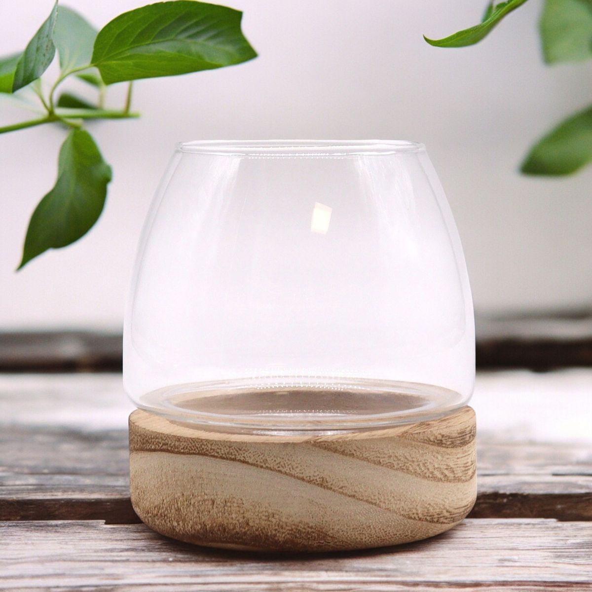 Pequeno terrário em madeira de tung natural - 10x10 cm