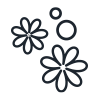Soap Flowers