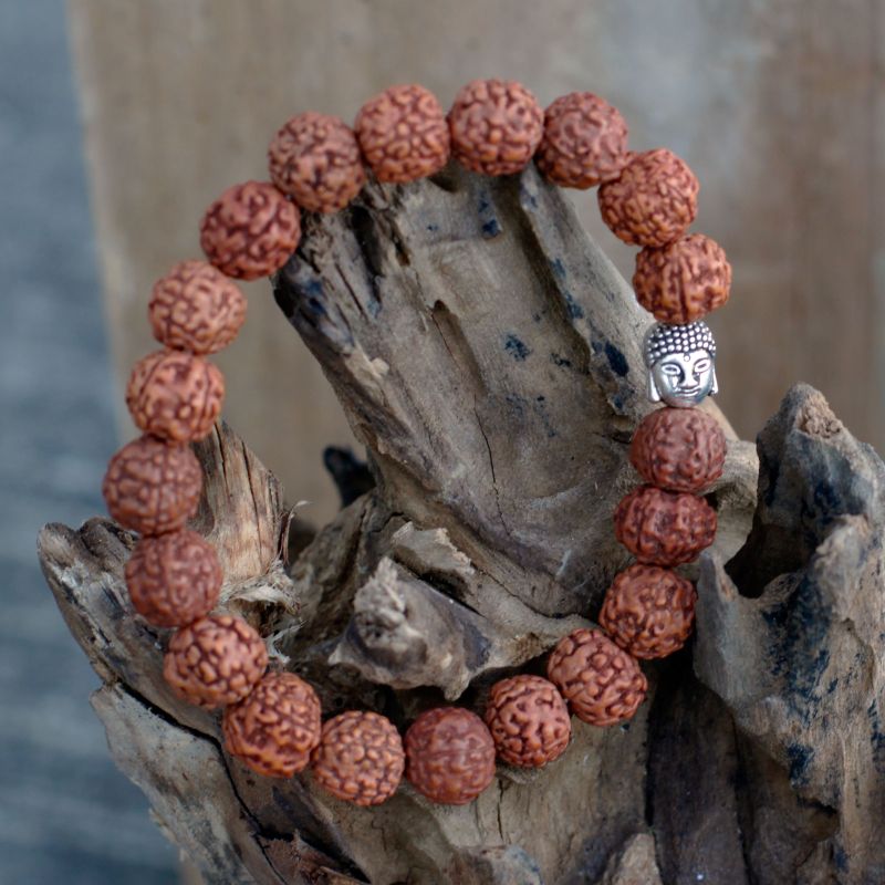 Mala Rudraksha Bouddha-Naturel