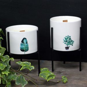 Velas Botánicas De Soja