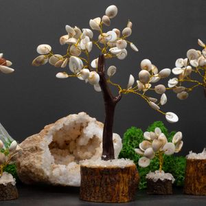 Gomati Chakra Stone Trees