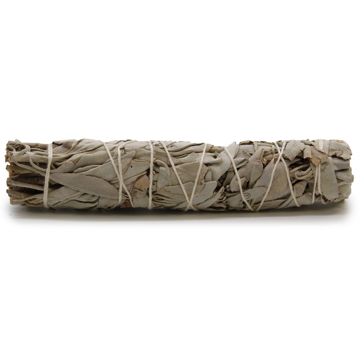 Ramo de ervas - Sálvia Branca 15 cm