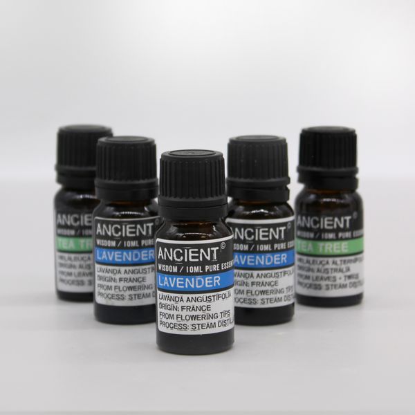 Boxed Aromatherapy Set TOP 12