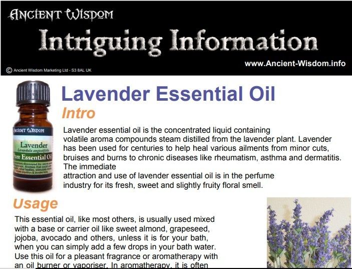Lavender Essential Oil Info
