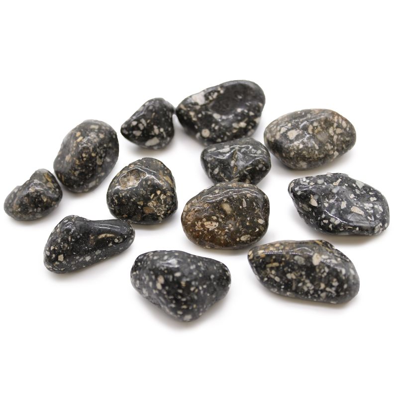 Medium African Tumble Stones Starter
