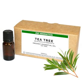 Huile Essentielle Bio Arbre à thé 10ml - Sans étiquette