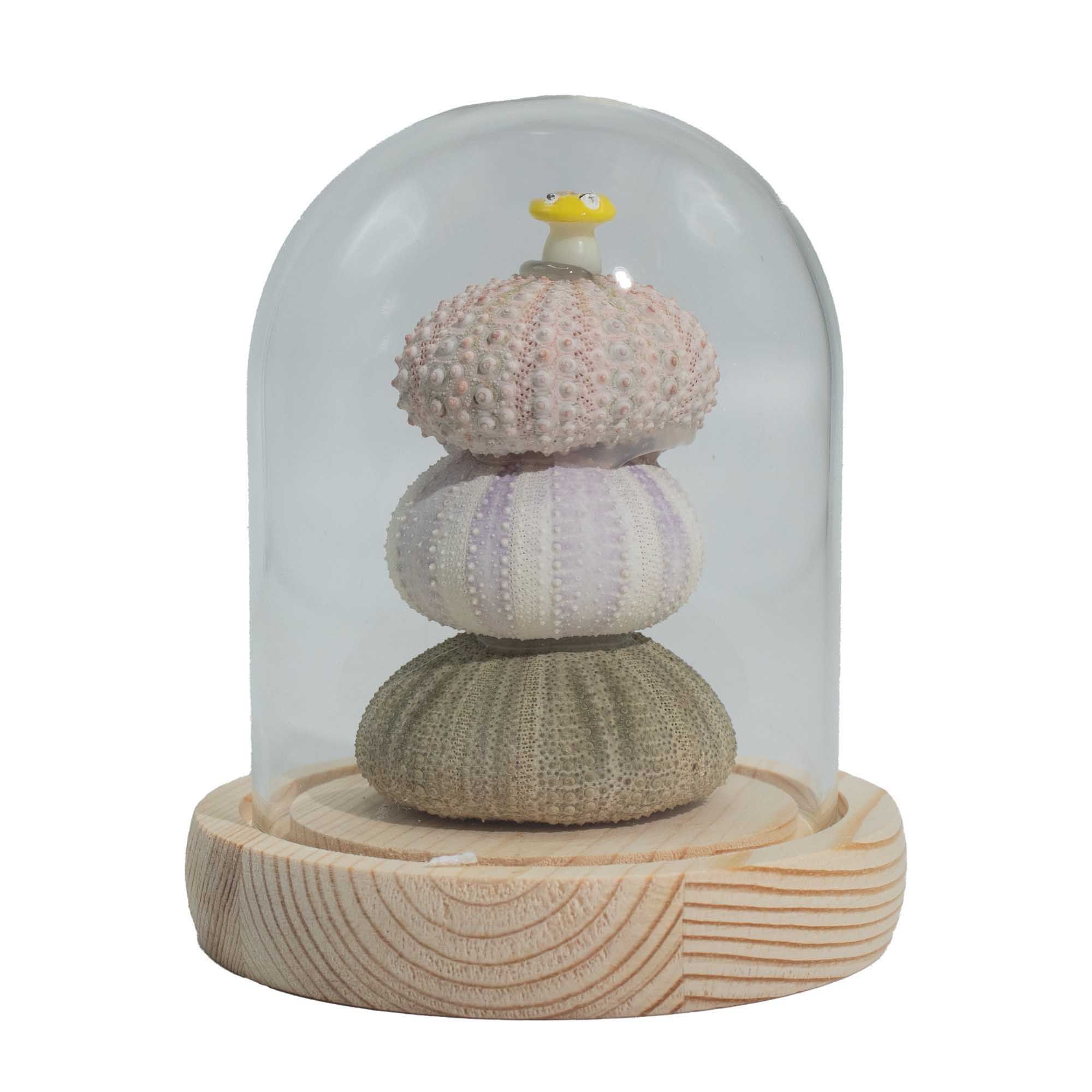 Decorative Sea Urchin Garden Dome with LED Lighting & Wooden Base - USB Powered