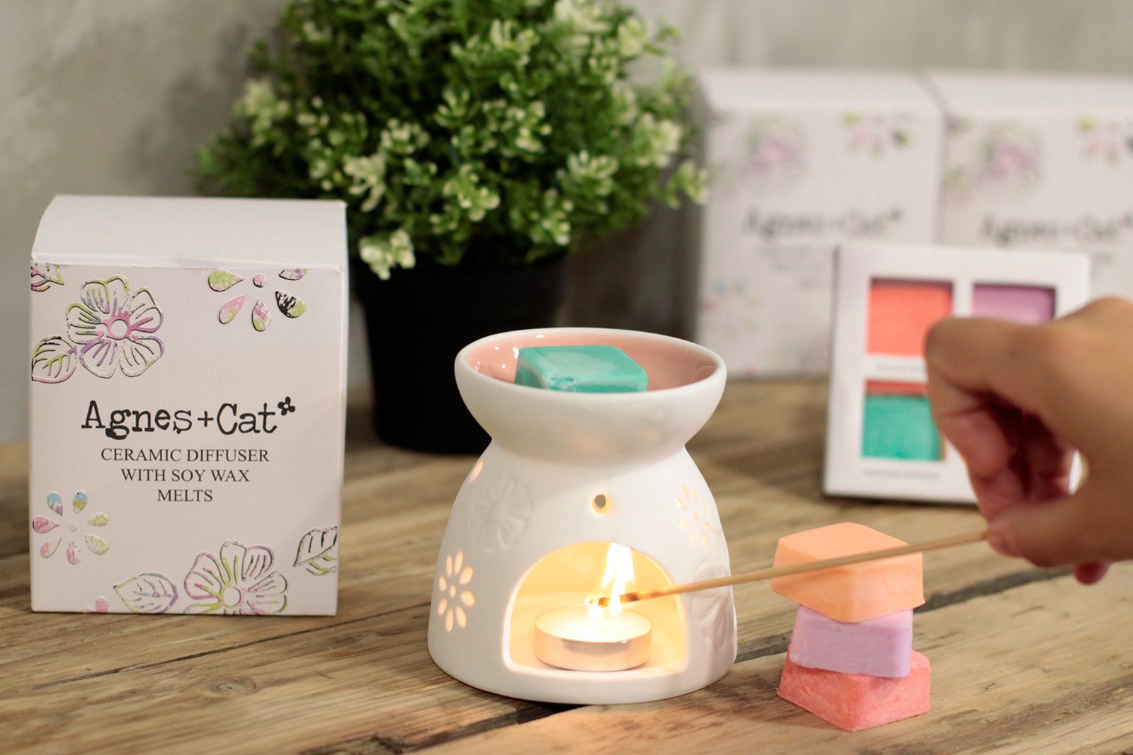 Wax Melter with Four Soy Wax Melts