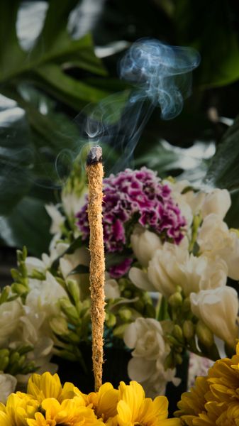 Caixas com 6x Incenso Jardim Botânico Calêndula