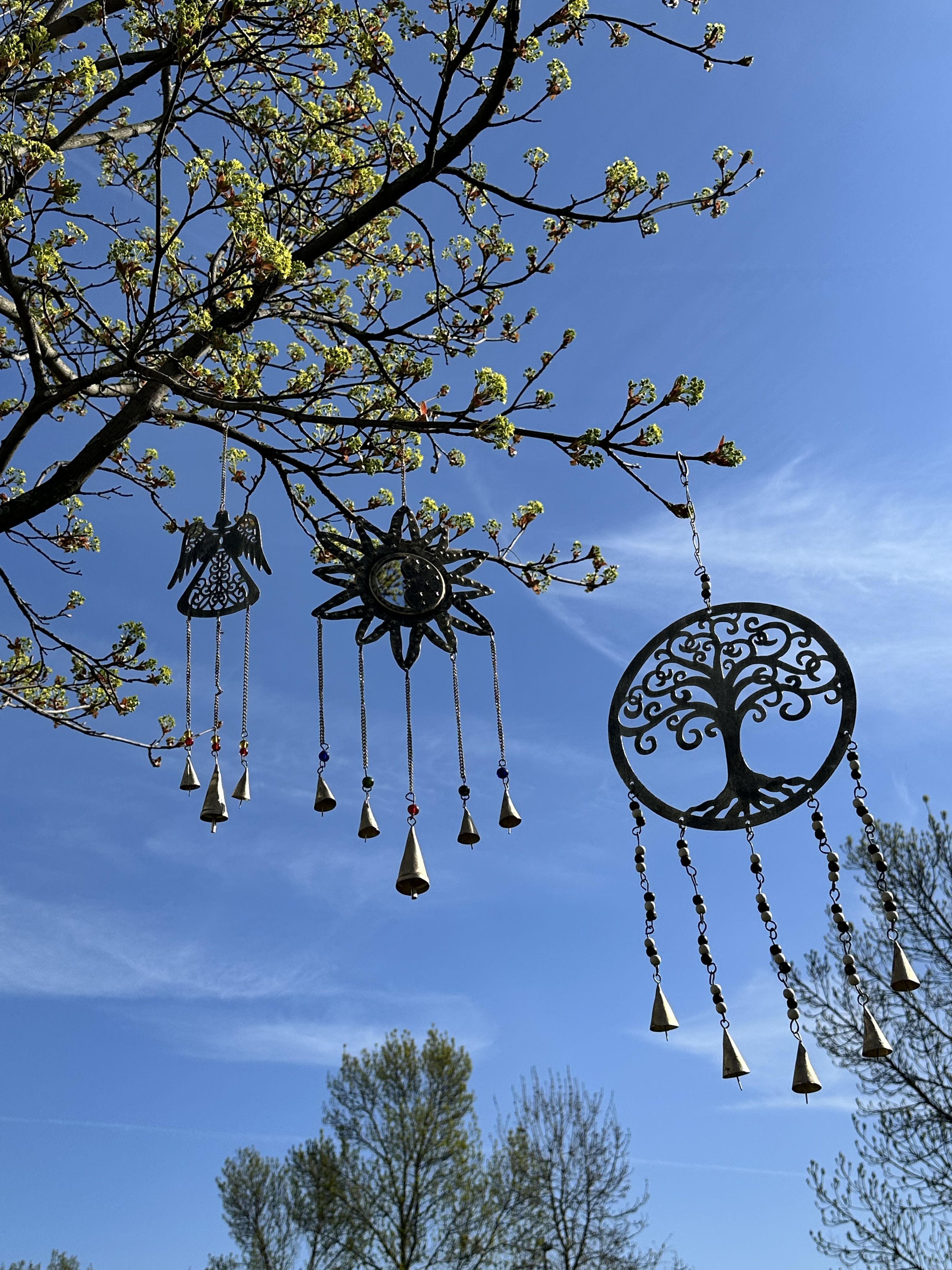 Indian Charms