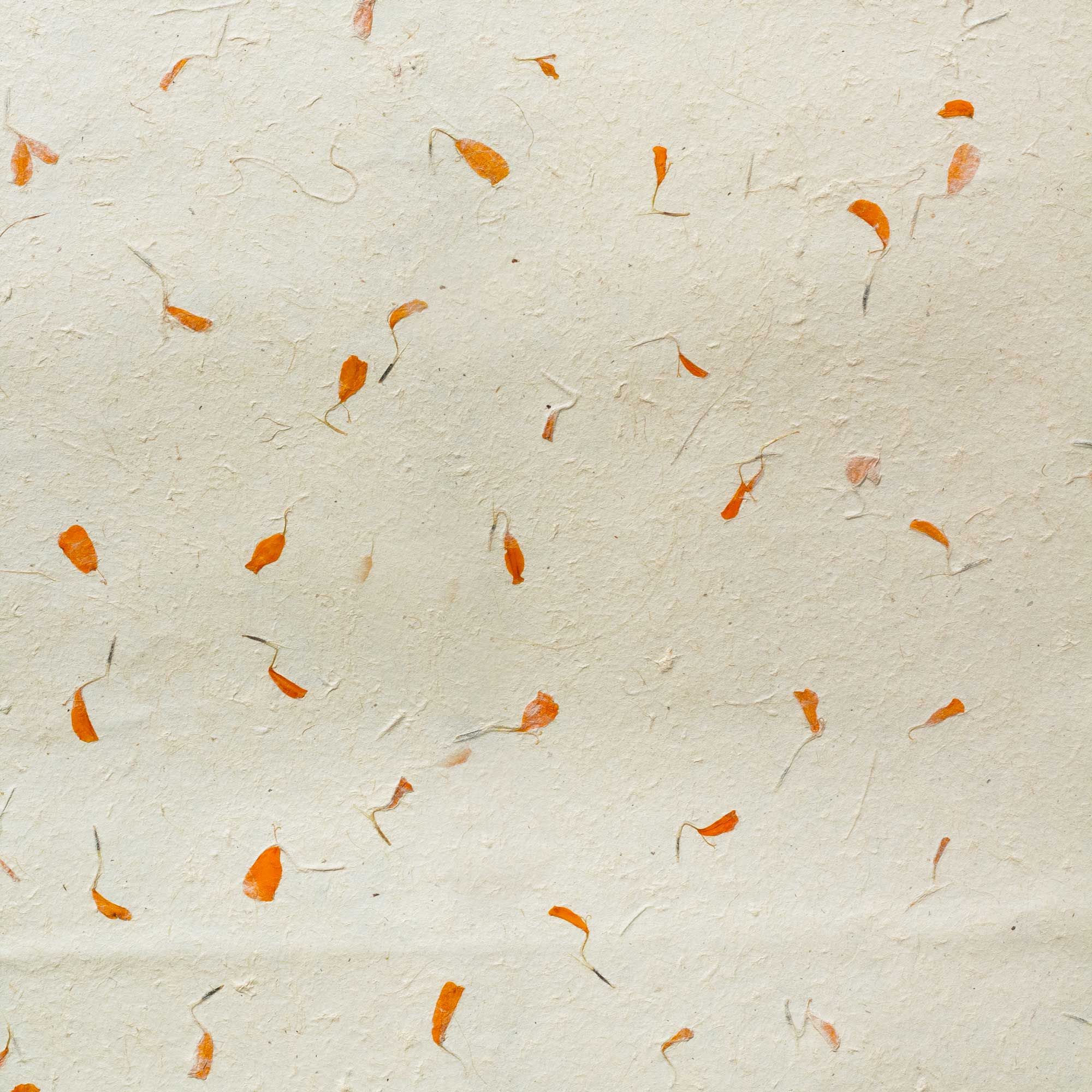 Lokta Craft / Wrapping Paper (51x76cm) - Marigold