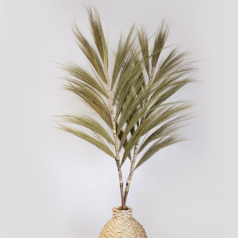 Rayung Herbe Naturelle - 1.6m