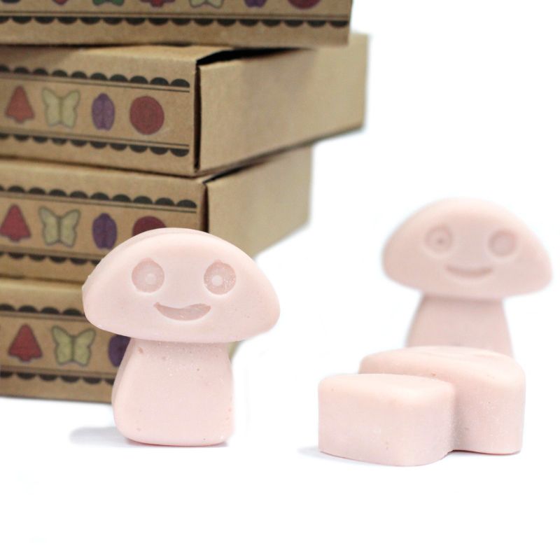 Boîte de 6 Fondants en Cire Soja -  Gingembre