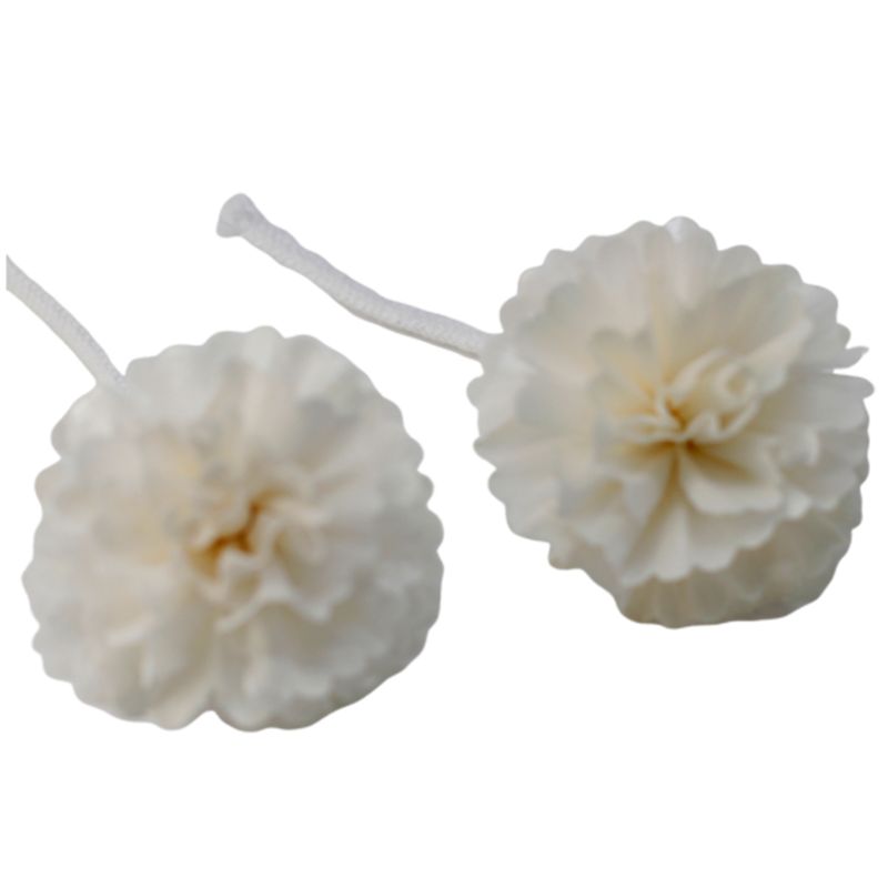 Diffuseurs Naturels Fleurs - Med Œillet Corde