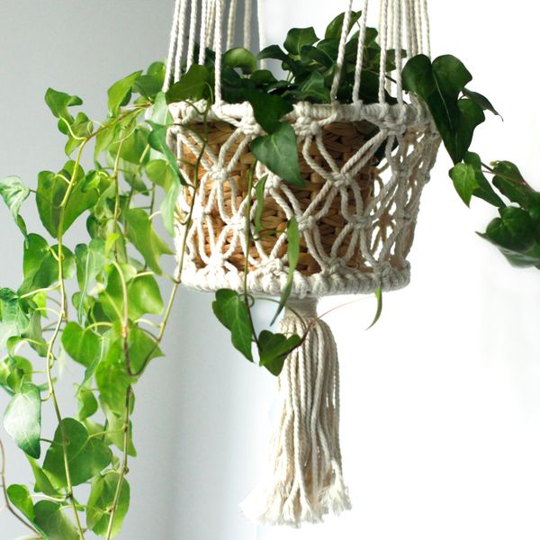 Macrame Pot Holder and Wall Hanging Starter