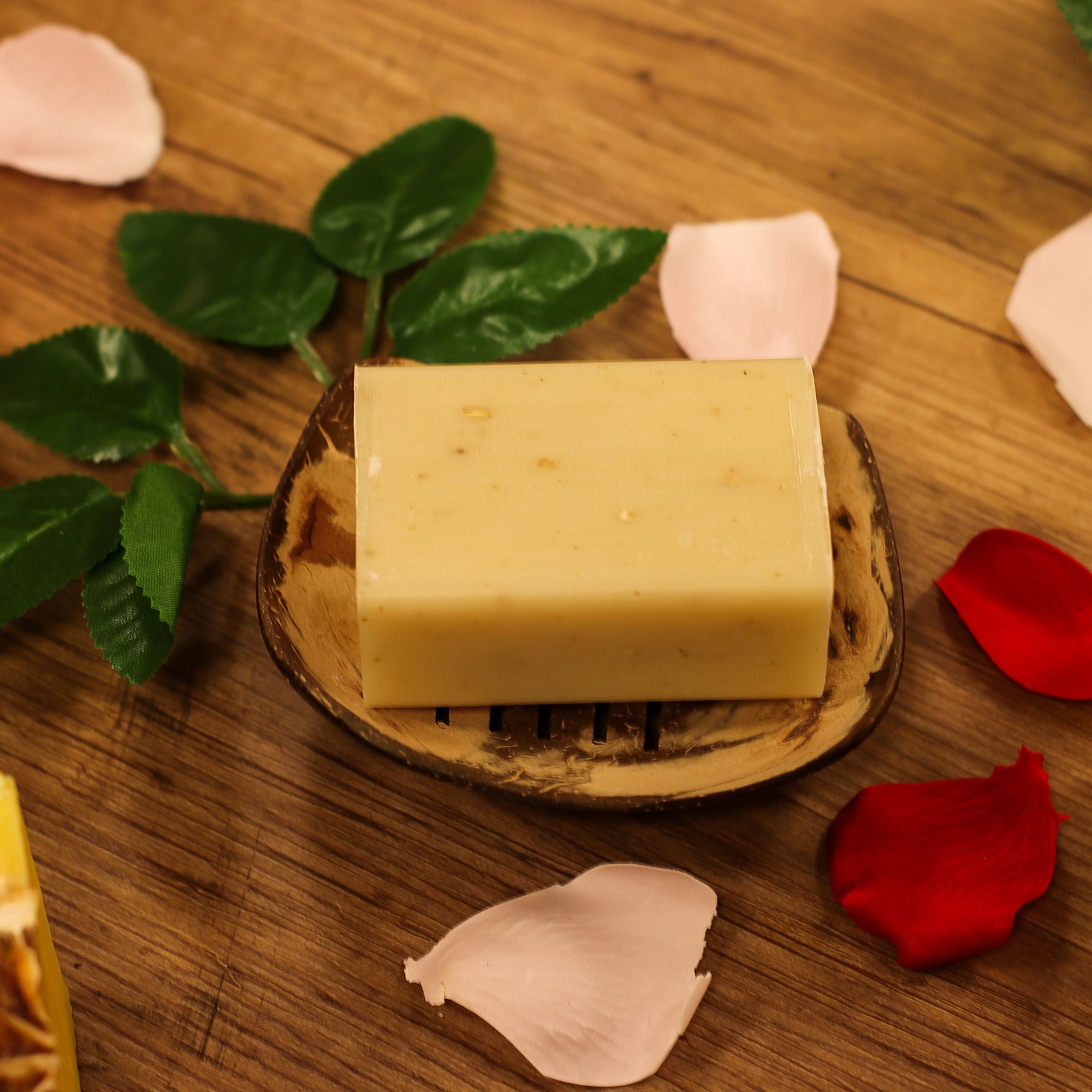 Naturligt Tvålfat av Kokosnöt - Avlång - 11cm