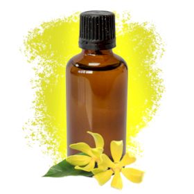 Ylang Ylang III 50ml - Bez Etikete