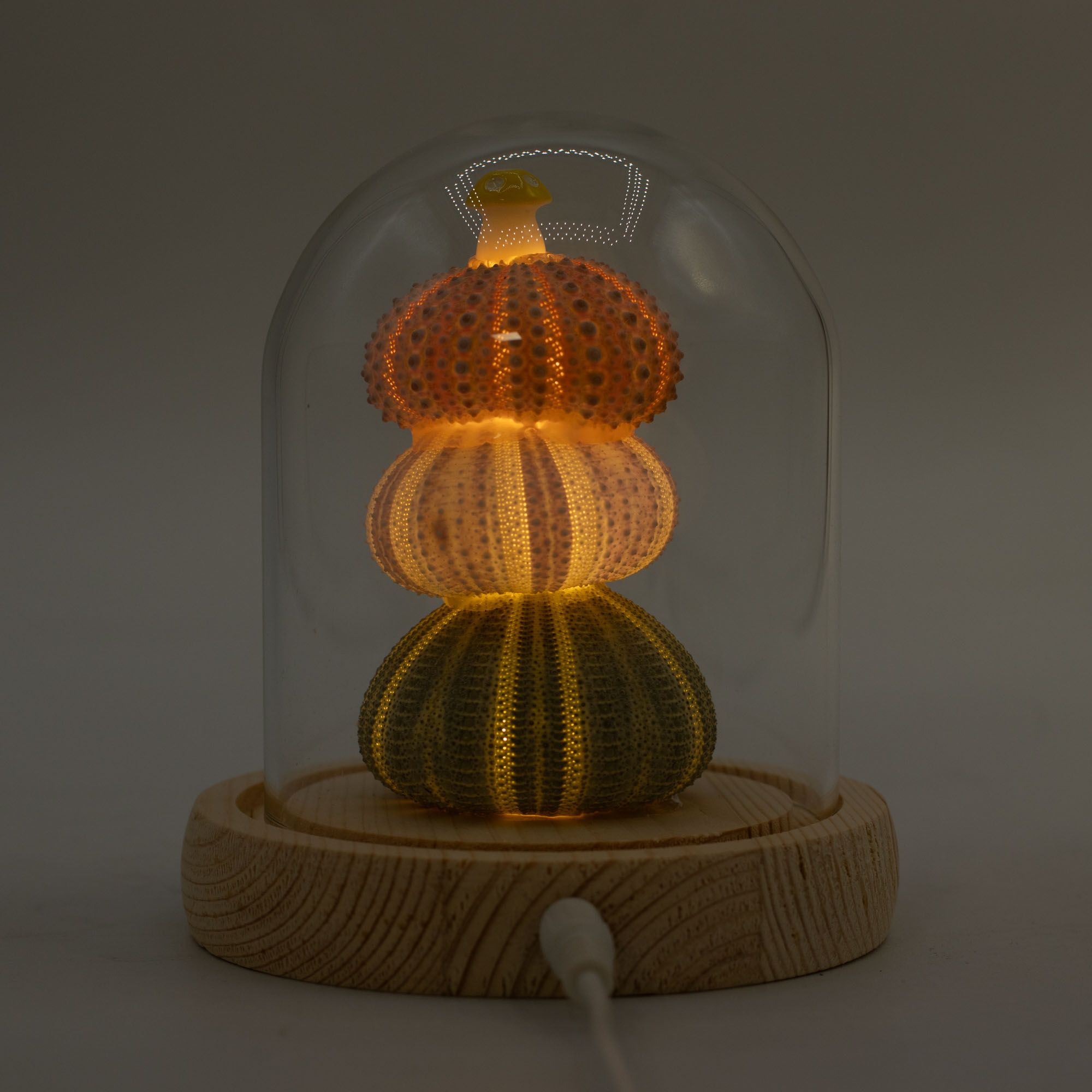 Lysande Glaskupa med Blommor - 3 Sjöborrar - LED USB