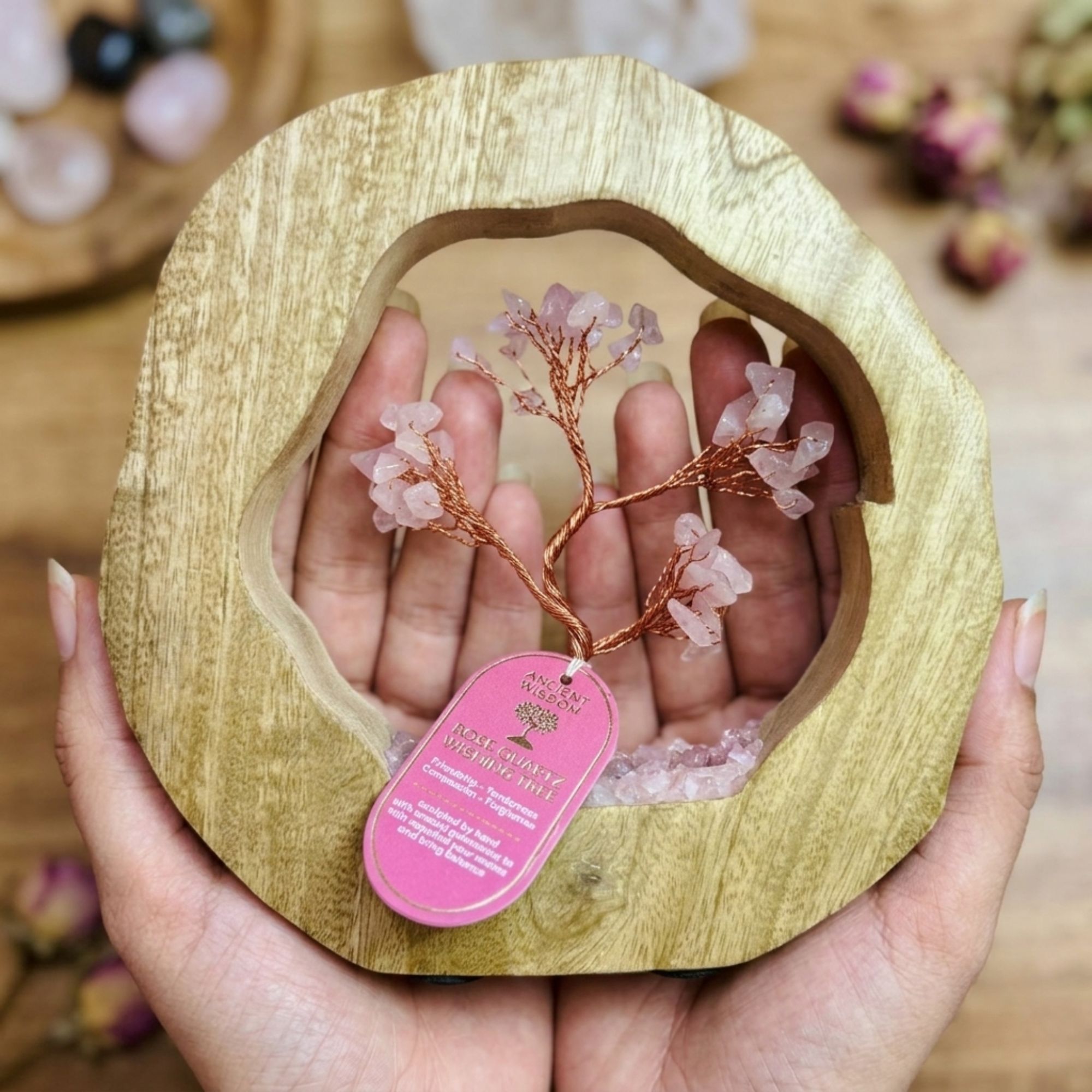family image