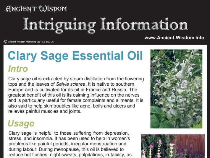 Clary Sage Essential Oil Info