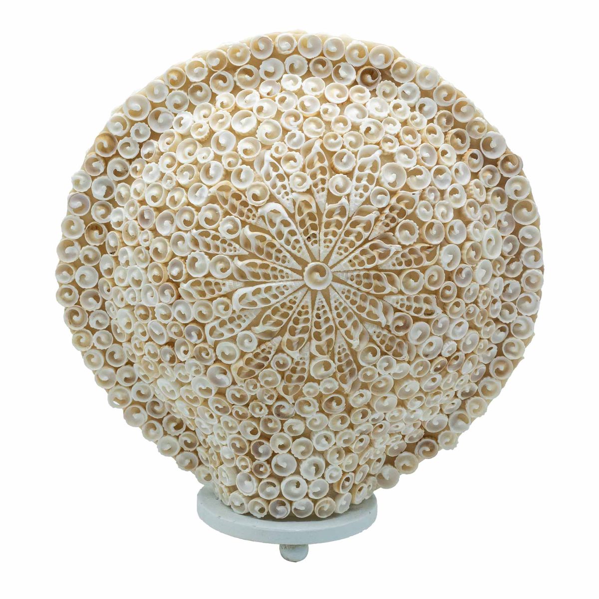 Lâmpada Boho de Conchas Marinhas - Concha Redonda Grande  - 30 cm