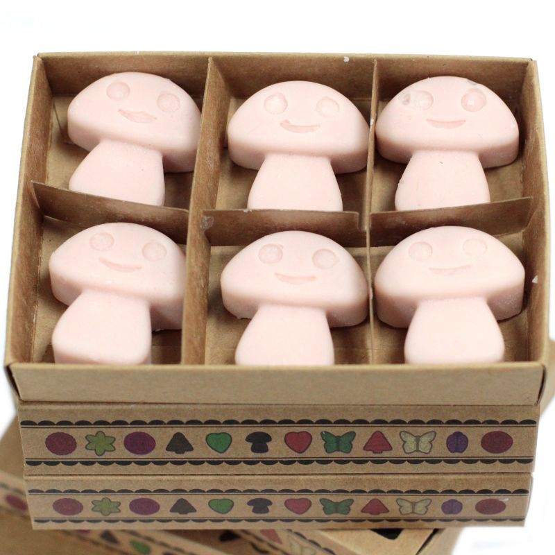 Boîte de 6 Fondants en Cire Soja -  Gingembre