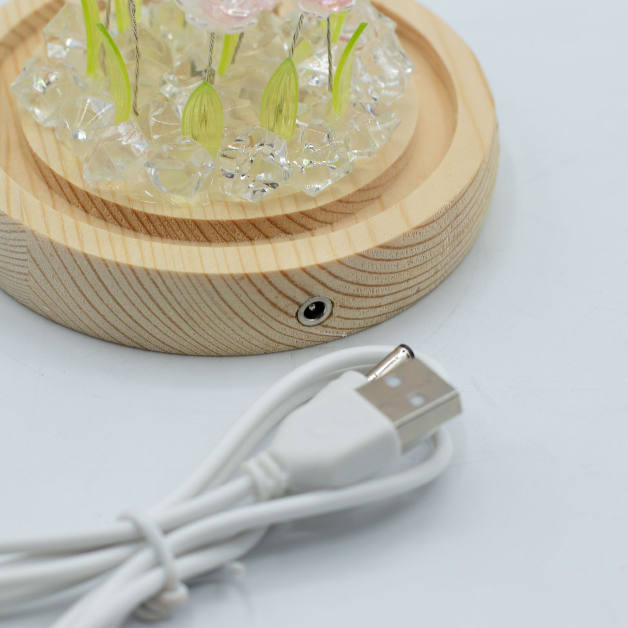 Lysande Glaskupa med Blommor - 10 Rosa Rosor - LED USB