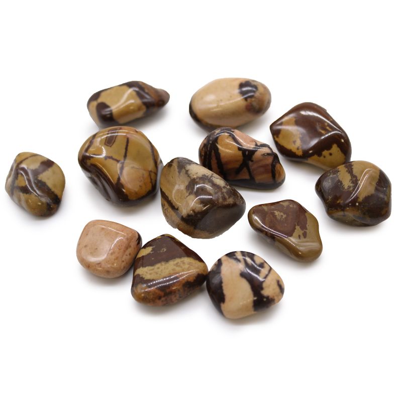 Medium African Tumble Stones Starter