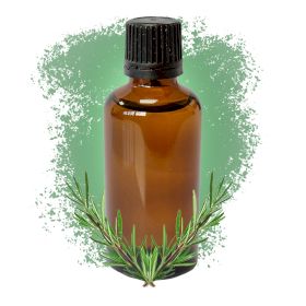 Romarin 50ml - Sans étiquette