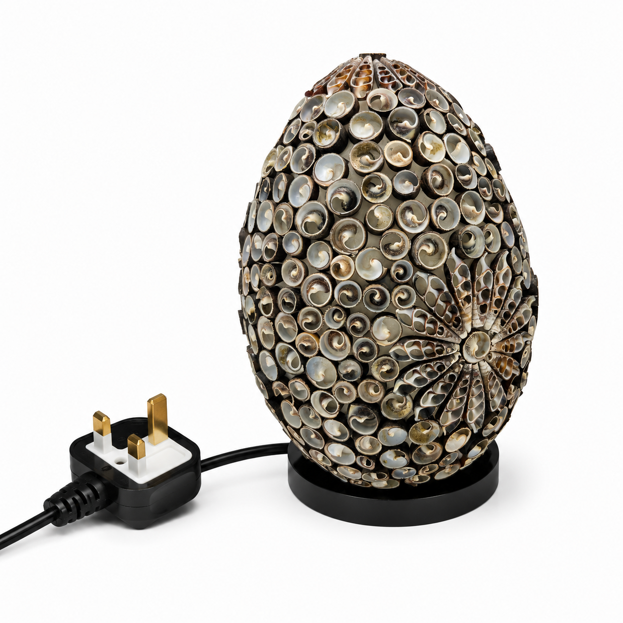 Boho Sea Shell Lamp - Chocolate Twist Oval - 20cm (UK)