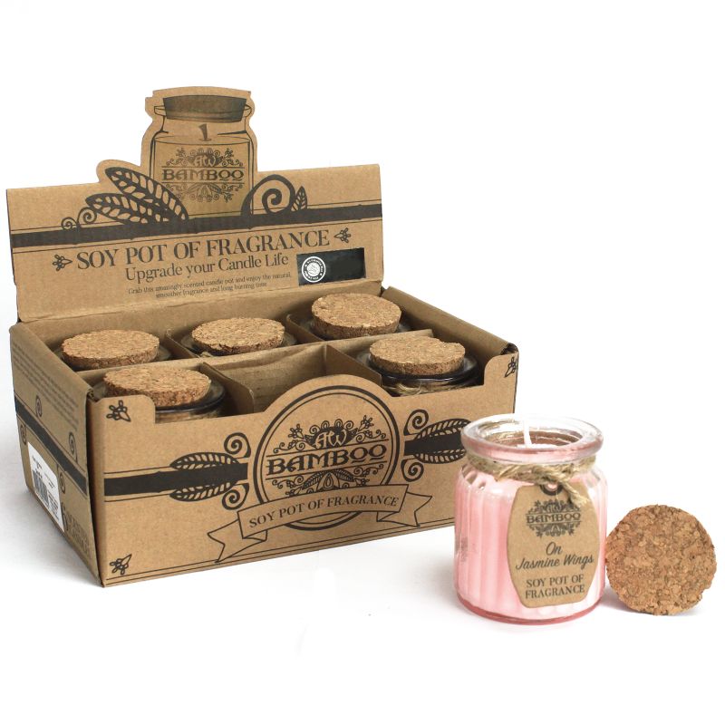 Soy Pot of Fragrance Candle Starter