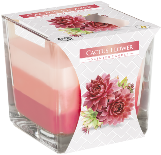 Vela Rainbow Frasco - Flor de cacto